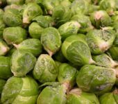 brussel sprouts