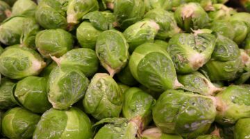 brussel sprouts